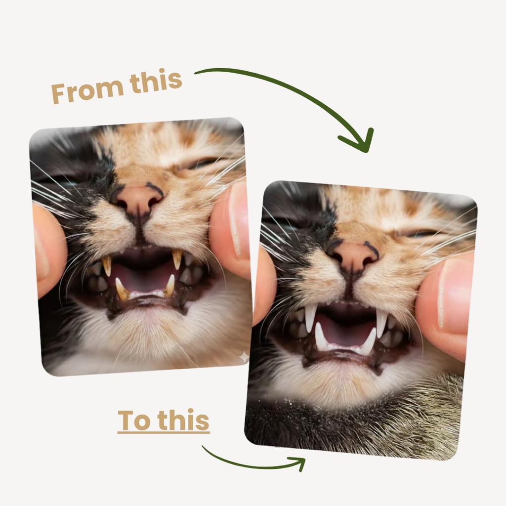 🐱Natural Silvervine Dental Sticks