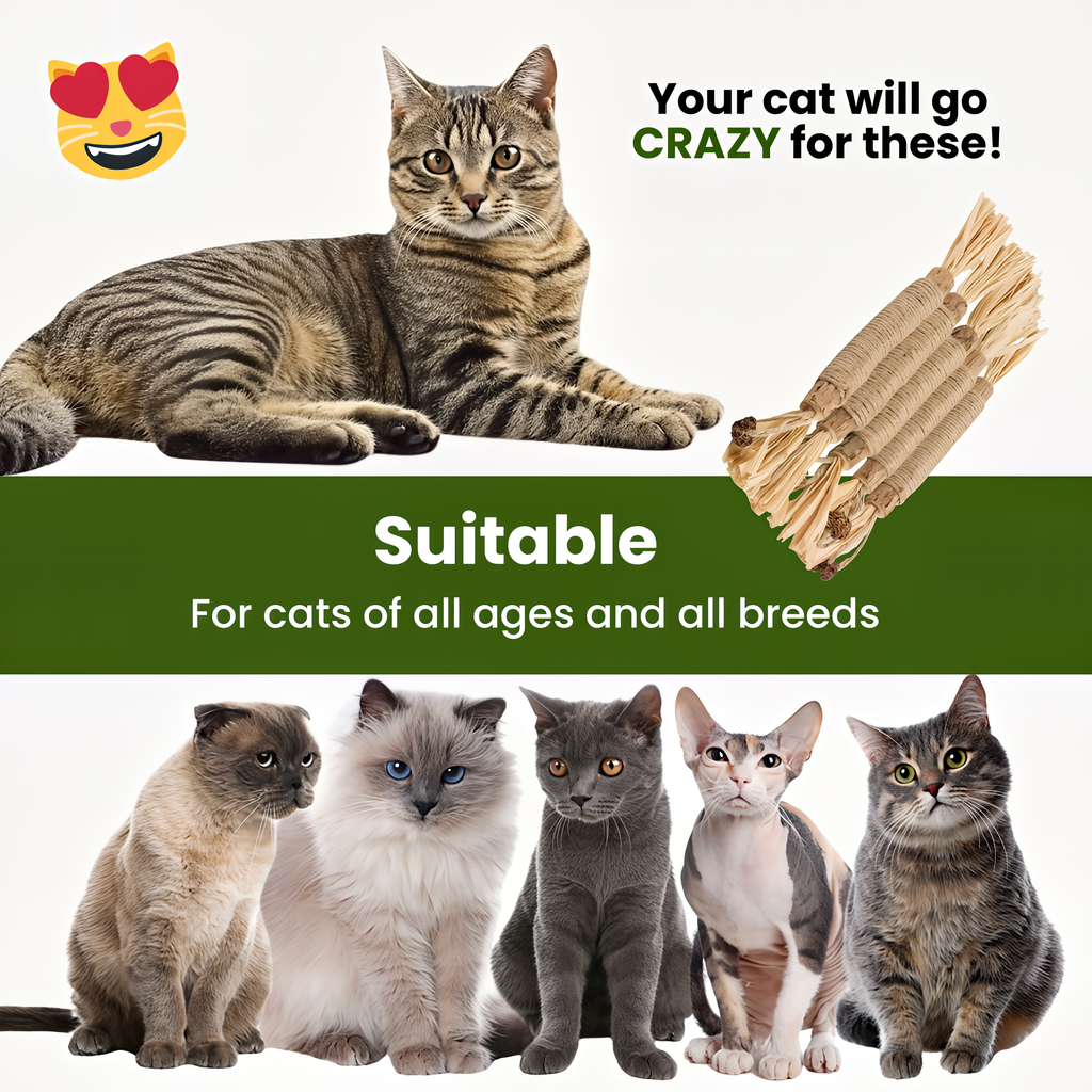 🐱Natural Silvervine Dental Sticks