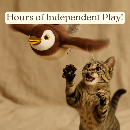 🐦 Flying Bird | Interactive Flapping Bird Cat Toy