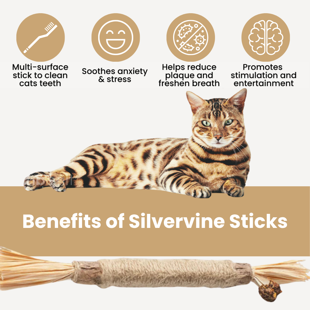 🐱Natural Silvervine Dental Sticks