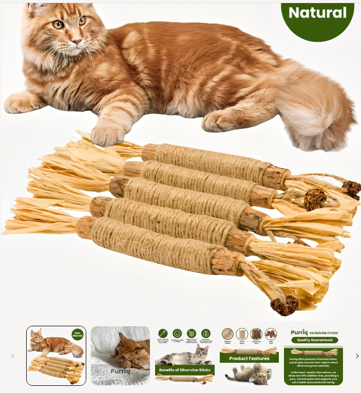 🐱Natural Silvervine Dental Sticks